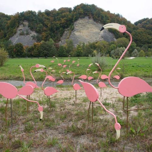 Schützenmatt Flamingo
