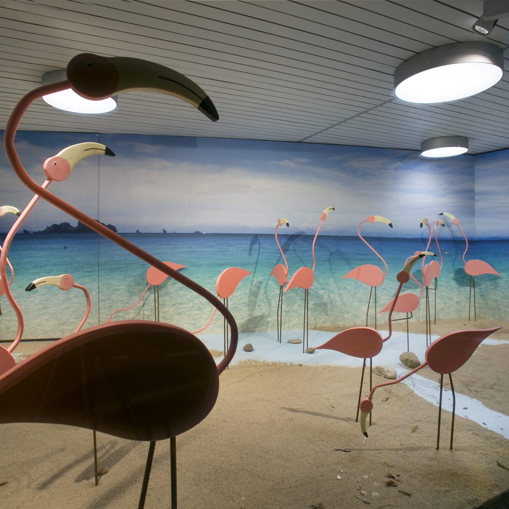 Schaufenster mit Flamingos